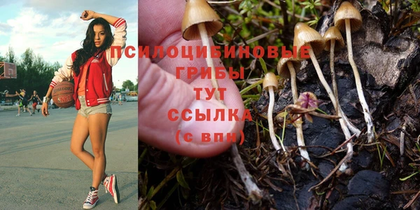 прущая мука Бронницы